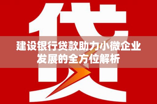 大寮建设银行贷款助力小微企业发展的全方位解析