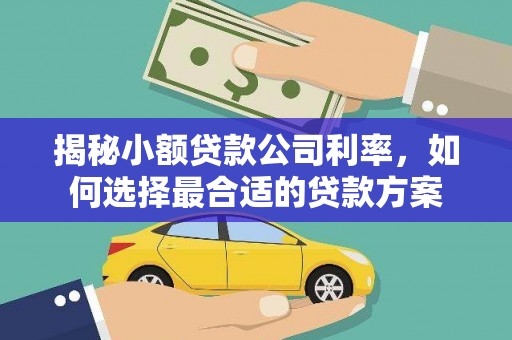 大寮揭秘小额贷款公司利率，如何选择最合适的贷款方案