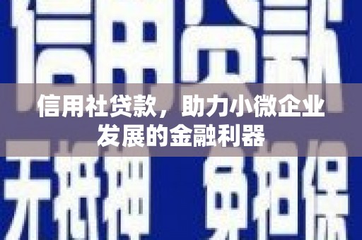 大寮信用社贷款，助力小微企业发展的金融利器
