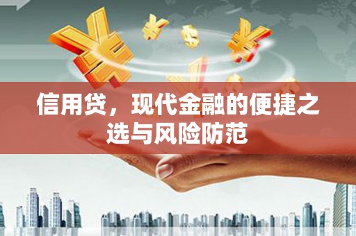 大寮信用贷，现代金融的便捷之选与风险防范