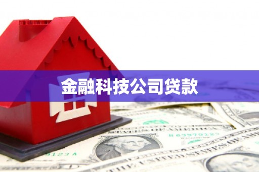 大寮金融科技公司贷款
