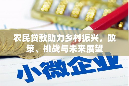 大寮农民贷款助力乡村振兴，政策、挑战与未来展望