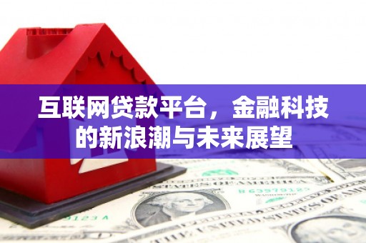 大寮互联网贷款平台，金融科技的新浪潮与未来展望