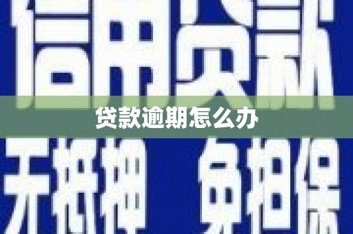 大寮贷款逾期怎么办
