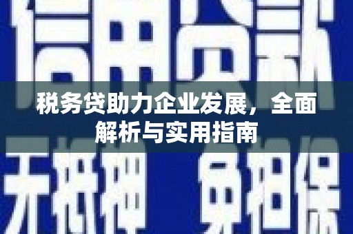 大寮税务贷助力企业发展，全面解析与实用指南