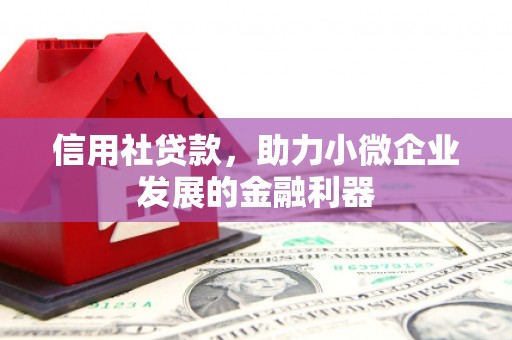 大寮信用社贷款，助力小微企业发展的金融利器