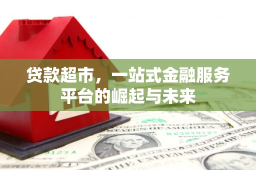 大寮贷款超市，一站式金融服务平台的崛起与未来
