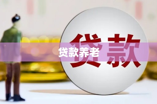 大寮贷款养老