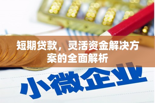 大寮短期贷款，灵活资金解决方案的全面解析