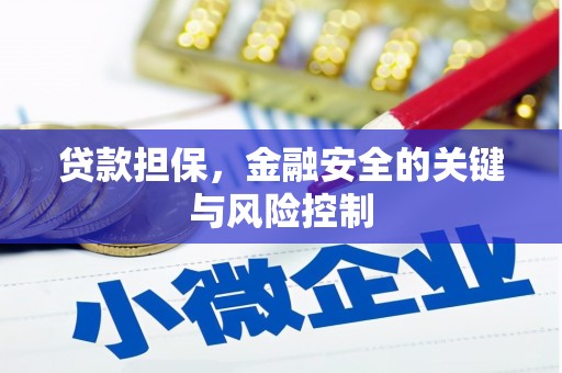 大寮贷款担保，金融安全的关键与风险控制
