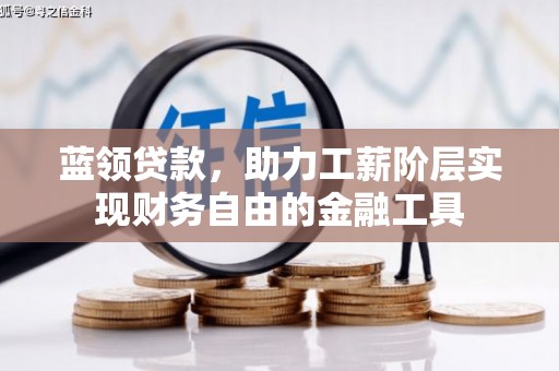 大寮蓝领贷款，助力工薪阶层实现财务自由的金融工具