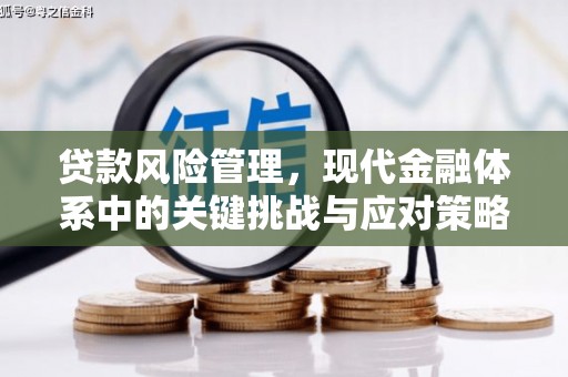 大寮贷款风险管理，现代金融体系中的关键挑战与应对策略