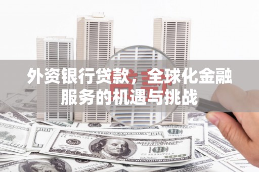 大寮外资银行贷款，全球化金融服务的机遇与挑战