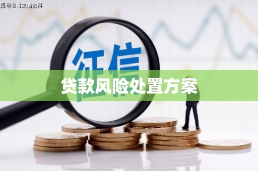 大寮贷款风险处置方案
