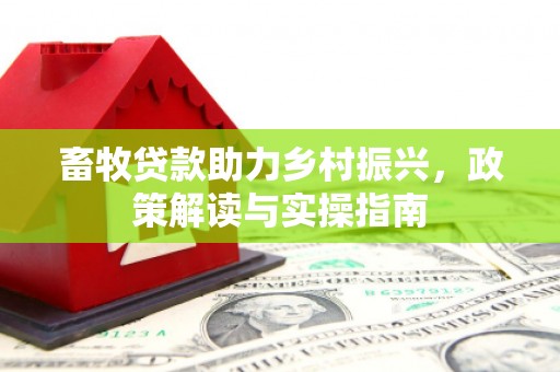 大寮畜牧贷款助力乡村振兴，政策解读与实操指南