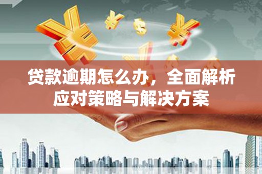 大寮贷款逾期怎么办，全面解析应对策略与解决方案
