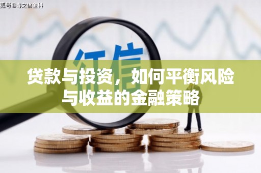 大寮贷款与投资，如何平衡风险与收益的金融策略