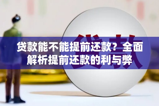 大寮贷款能不能提前还款？全面解析提前还款的利与弊