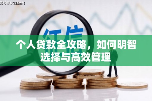 大寮个人贷款全攻略，如何明智选择与高效管理