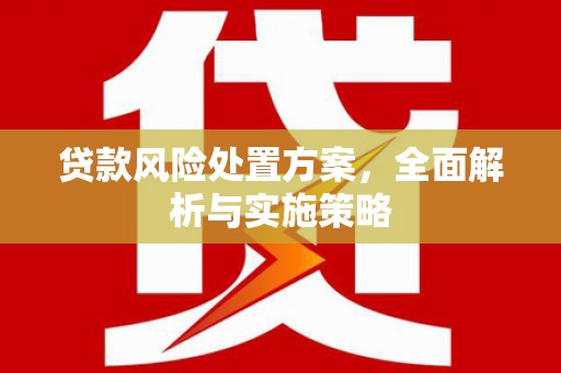大寮贷款风险处置方案，全面解析与实施策略