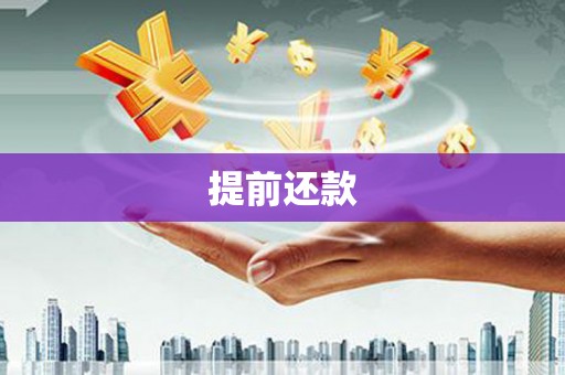 大寮提前还款